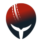 CricHeroes アイコン