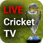 Live Cricket TV HD Streaming иконка