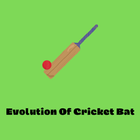 Evolution Of Cricket Bat icono