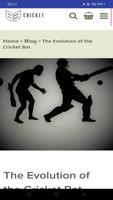 Evolution Of Cricket Bat captura de pantalla 1