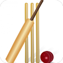 Cricket Bat and Ball Wallpaper APK