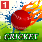 Cricket Live Clock Wallpapers HD icône