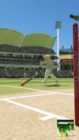 Cricket 22 اسکرین شاٹ 1