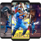 Cricket Wallpapers HD 圖標