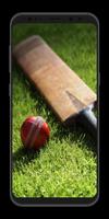 Cricket Wallpapers HD 截圖 2