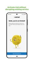 tryCricket syot layar 3