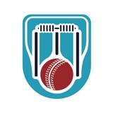 Cricket LineX: Fast Live score أيقونة