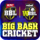 Big Bash Cricket ícone