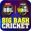 Big Bash Cricket APK