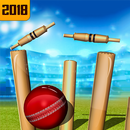Top Cricket Ball Slope Game APK