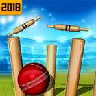 Top Cricket Ball Slope Game أيقونة