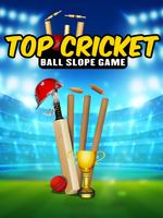 Top Cricket Ball Slope Game screenshot 3