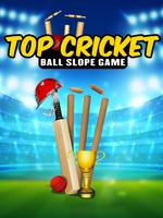 Top Cricket Ball Slope Game Ekran Görüntüsü 3