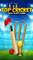 Top Cricket Ball Slope Game plakat