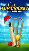 Top Cricket Ball Slope Game Affiche