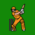 Cricket India Live Score