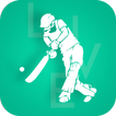 Live Cricket Scores - IPL Live Scores 2021