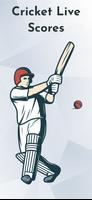 T20 Cricket Live Score Affiche