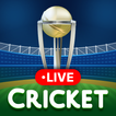 Icona Live Cricket Score - Live Line