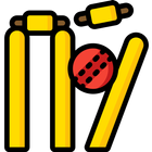 Cricket Score Counter icon