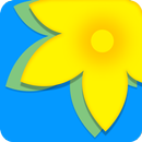 Gallery APK