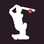 Cricsum : Cricket Live line-icoon