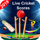 Live Cricket Score иконка
