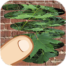 木、スクラッチ、どれが隠れているかを推測 APK