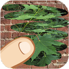 Trees, which one is hiding icon