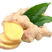 lợi ích tuyệt vời của gừng