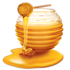 Benefits of Honey 图标