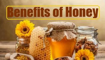 Benefits of Honey 海报