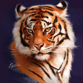 How to draw animals