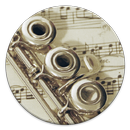 Flute Fingering Chart APK