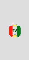 Bolivia Tv Canales Poster