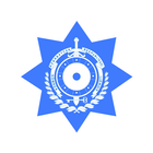 Smart Customs icon