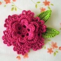 Wonderful Crochet Flowers Ideas Affiche