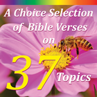 A Choice Selection of Bible Verses on 37 Topics biểu tượng