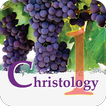 Christology 1