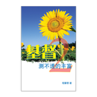 基督测不透的丰富 2 (试阅版)(简) icono