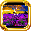 Lagu Dj Kiri Kanan Santuy Mp3 APK