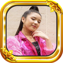 Lagu Tiara Andini Gemintang Hatiku APK