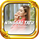 Lagu Nella Kharisma Viral APK