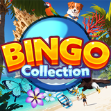 Bingo Collection - Bingo Games
