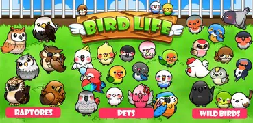 Bird Life  -Vida de Pássaro-