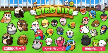 バードライフ　-鳥さん育成ゲーム-