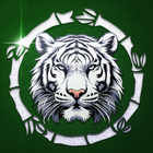 Mahjong Duels Koo icon
