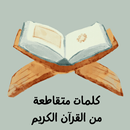 كلمات متقاطعة من القرآن الكريم APK