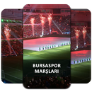 İnternetsiz Bursaspor Marşları Dinle APK