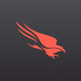 CrowdStrike Falcon 32bit Support icon